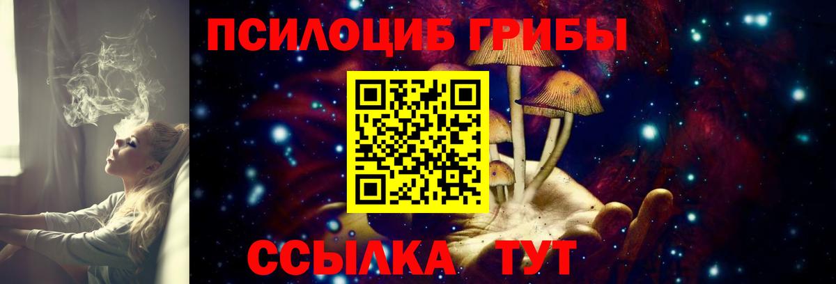 Галлюциногенные грибы прущие грибы  Галлюциногенные грибы прущие грибы  Вход с VPN  Славгород 